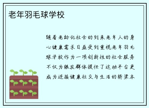 老年羽毛球学校