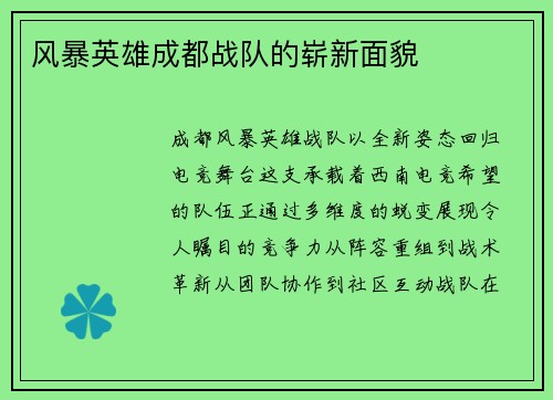 风暴英雄成都战队的崭新面貌
